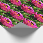 ピンクの《植物》百日草と（昆虫）マルハナバチ、ピンクの花、かわいいミツバチ ラッピングペーパー (角)