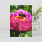 ピンクの《植物》百日草と(昆虫)マルハナバチ、ピンクの花、かわいいミツバチ 招待状 (スタンド正面)