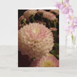 ピンクの《植物》百日草の花 カード