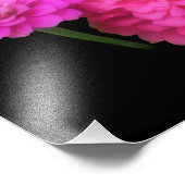 ピンクの《植物》百日草フラワーペアクローズアップ8x10 フォトプリント            (角)