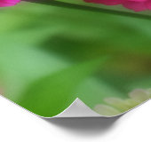 ピンクの《植物》百日草花鏡抽象芸術 ポスター (角)