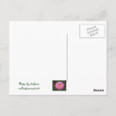 ピンクの《植物》百日草 ポストカード (裏面)