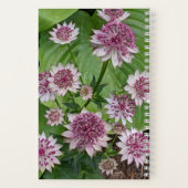 ピンクのAstrantiaの花 フローラル ノートブック (裏面)