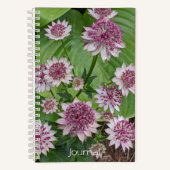 ピンクのAstrantiaの花 フローラル ノートブック (正面)