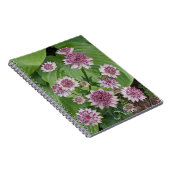 ピンクのAstrantiaの花 フローラル ノートブック (右側)