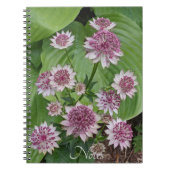 ピンクのAstrantiaの花 フローラル ノートブック (正面)