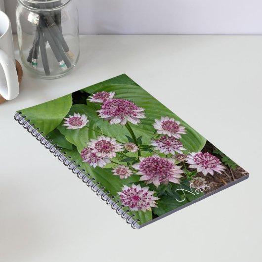 ピンクのAstrantiaの花 フローラル ノートブック