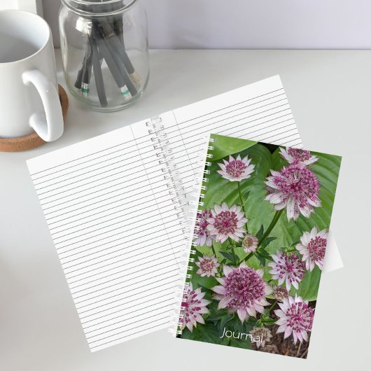ピンクのAstrantiaの花 フローラル ノートブック