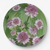 ピンクのAstrantiaの花 フローラル ペーパープレート (正面)