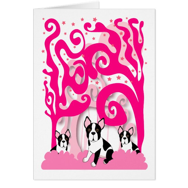 ピンクのBostons (正面)