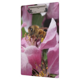 ピンクのCrabappleの木の花に受粉している蜂蜜の蜂 クリップボード