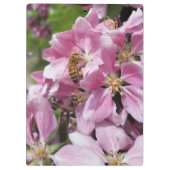 ピンクのCrabappleの木の花に受粉している蜂蜜の蜂 クリップボード (裏面)