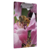 ピンクのCrabappleの木の花に受粉している蜂蜜の蜂 クリップボード (右)