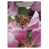 ピンクのCrabappleの木の花に受粉している蜂蜜の蜂 クリップボード (正面)