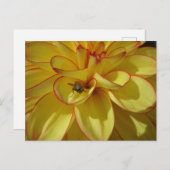 ピンクのDIYはがき付き黄色縁どのダリア ポストカード (正面/裏面)