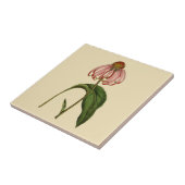 ピンクのEchinaceaの植物のタンのセラミックタイル タイル (側面)