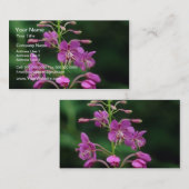 ピンクのFireweedの花 名刺 (正面/裏面)