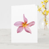 ピンクのfrangiのpanni カード (黄色い花)