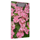 ピンクのkousaのミズキの花 クリップボード (右)