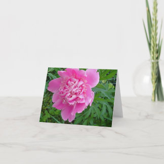 ピンクのpeonieの花のnotecardのコレクション カード