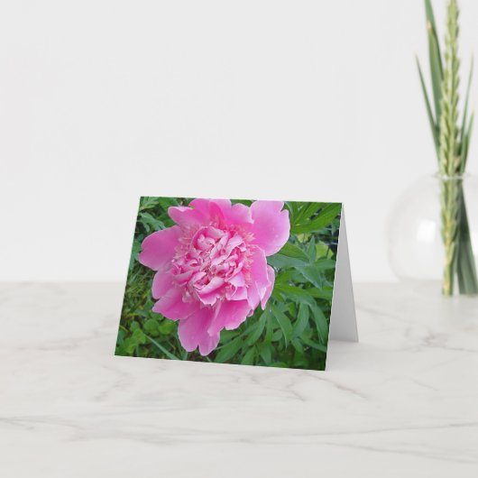 ピンクのpeonieの花のnotecardのコレクション カード (正面)