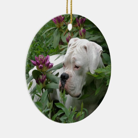 ピンクのRhodiesの白人のボクサー セラミックオーナメント (右)