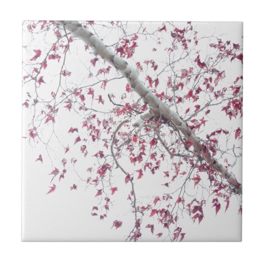 ピンクのtouch葉の タイル (正面)