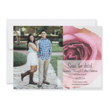 ピンクはっきりしたと紫の春バラ