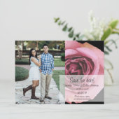 ピンクはっきりしたと紫の春バラ セーブザデート (スタンド正面)