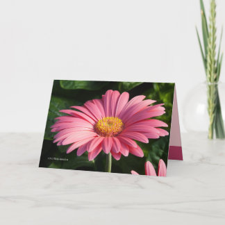 ピンクは愛 カード