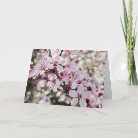 ピンクは赤い茎。 カード (正面)