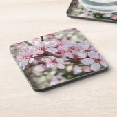 ピンクは赤い茎。 コースター (左側)