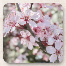 ピンクは赤い茎。