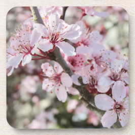 ピンクは赤い茎。 コースター