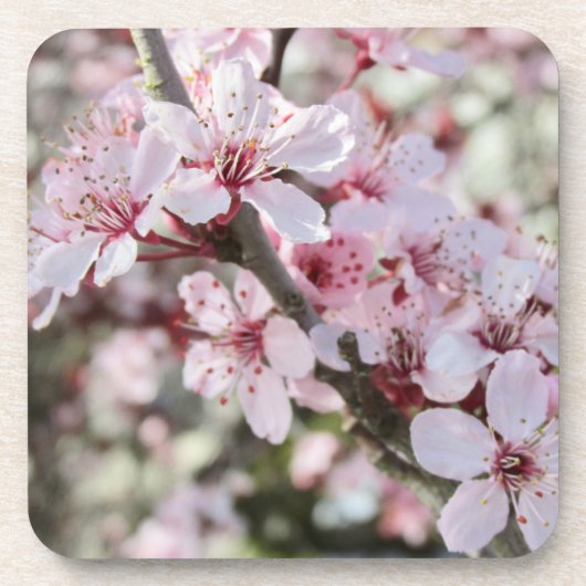 ピンクは赤い茎。 コースター (正面)