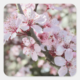 ピンクは赤い茎。 スクエアシール