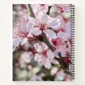 ピンクは赤い茎。 ノートブック (裏面)