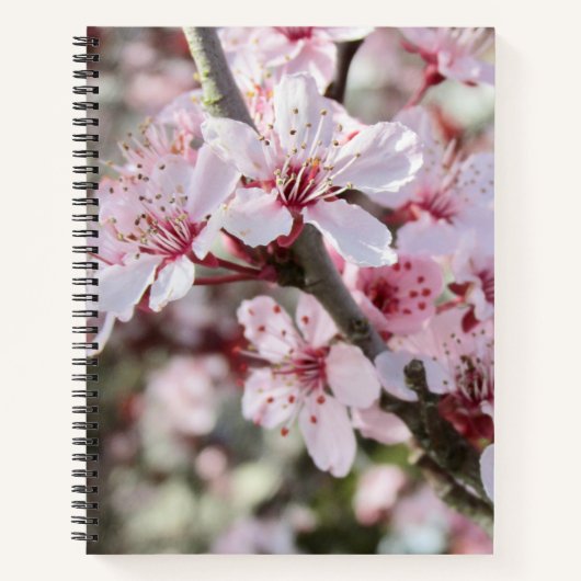 ピンクは赤い茎。 ノートブック (正面)