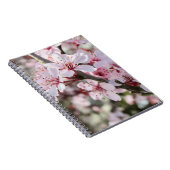 ピンクは赤い茎。 ノートブック (右側)