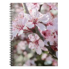 ピンクは赤い茎。 ノートブック