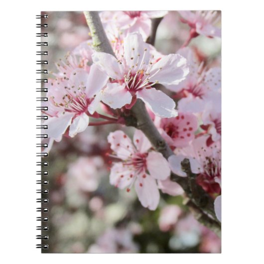 ピンクは赤い茎。 ノートブック (正面)
