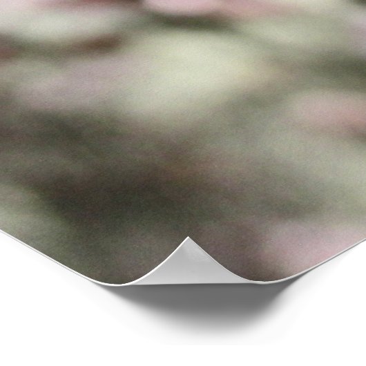 ピンクは赤い茎。 ポスター (角)