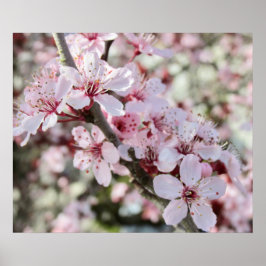 ピンクは赤い茎。 ポスター