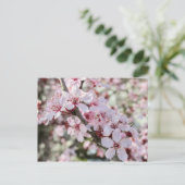 ピンクは赤い茎。 ポストカード (スタンド正面)