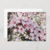 ピンクは赤い茎。 ポストカード (正面/裏面)