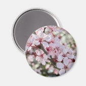 ピンクは赤い茎。 マグネット (正面/裏面)