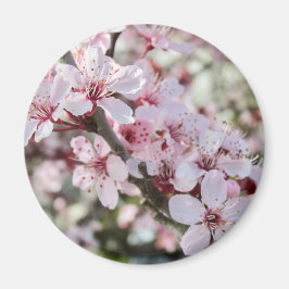 ピンクは赤い茎。 マグネット