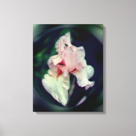 ピンクひげ菖蒲フラワーアート キャンバスプリント (正面)