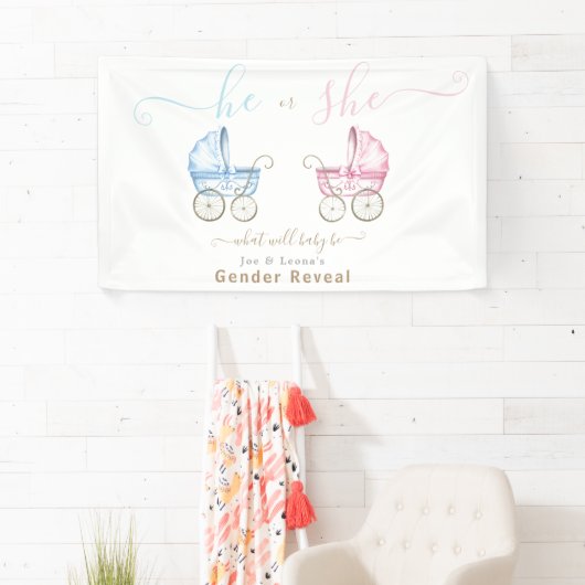 ピンクまたはブルーのベビーカーの性別を明らかにする 横断幕 (インサイチュ)