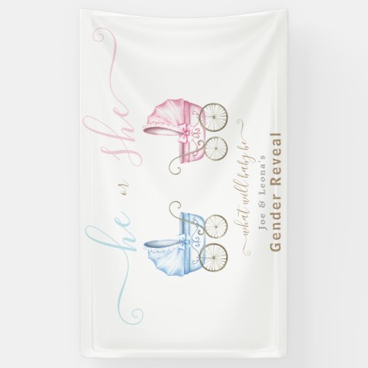 ピンクまたはブルーのベビーカーの性別を明らかにする 横断幕 (縦)